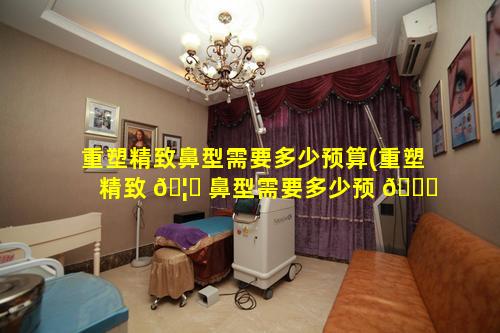 重塑精致鼻型需要多少预算(重塑精致 🦁 鼻型需要多少预 🍁 算才能做)